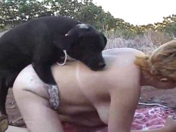 Cachorrinho socando a pica na mulher coroa de quatro