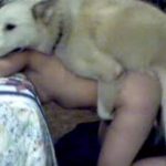 Cachorro comendo a buceta da casada e corno filmando
