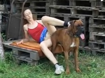 Cachorro enfiando a rola grossa na bucetinha da tutora