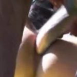 Cavalo comendo a bunda de duas travestis brasileiras