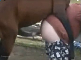 Gay recebendo rola no rabo de seu cavalo