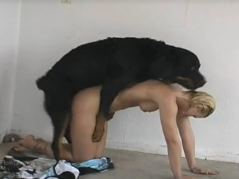 Marido gravou cachorro rottweiler comendo cu da esposa