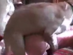 Menina novinha dando o cuzinho para o seu cachorrinho